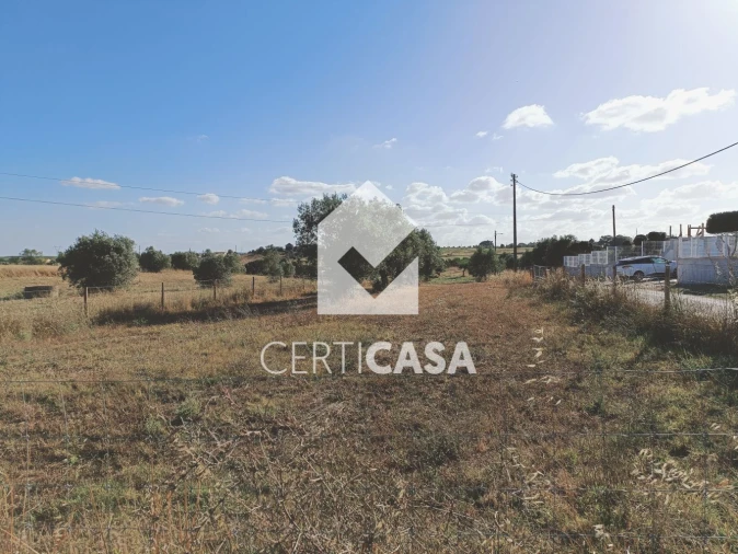 Terreno para Venda em São Vicente do Paul e Vale de Figueira Foto 2