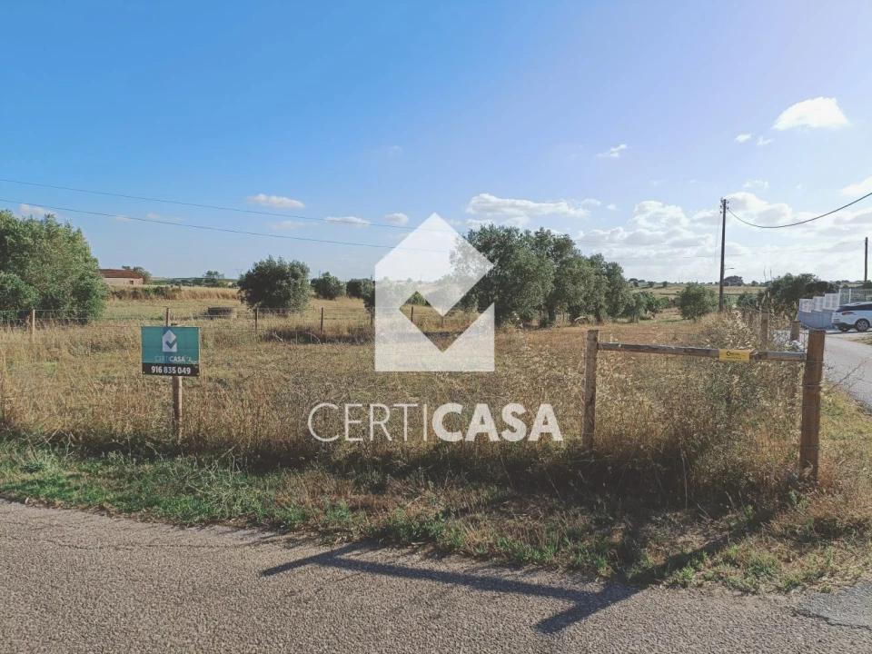 Terreno para Venda em São Vicente do Paul e Vale de Figueira Foto 1