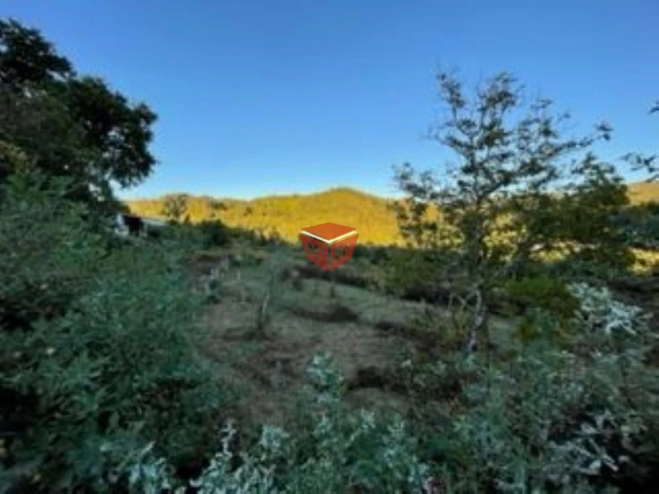 Terreno para Venda em Selho São Lourenço e Gominhães Foto 1