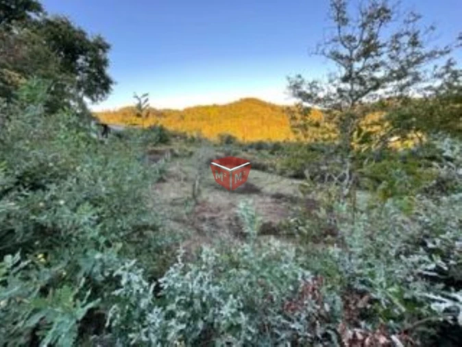 Terreno para Venda em Selho São Lourenço e Gominhães Foto 2
