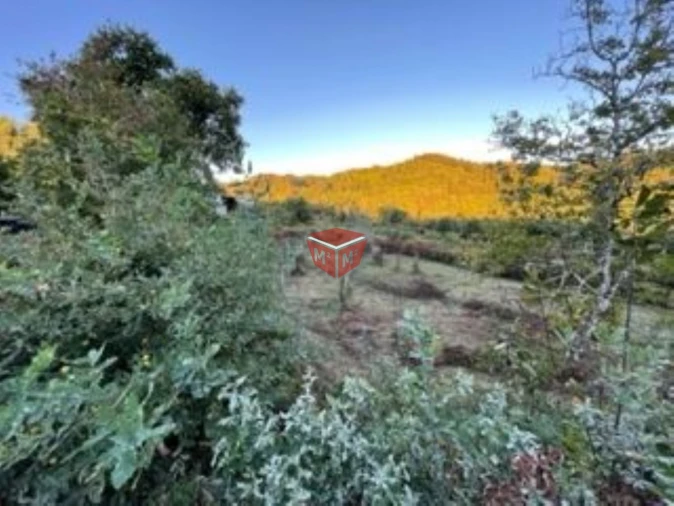 Terreno para Venda em Selho São Lourenço e Gominhães Foto 5