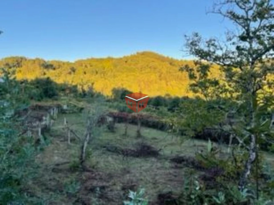 Terreno para Venda em Selho São Lourenço e Gominhães Foto 4