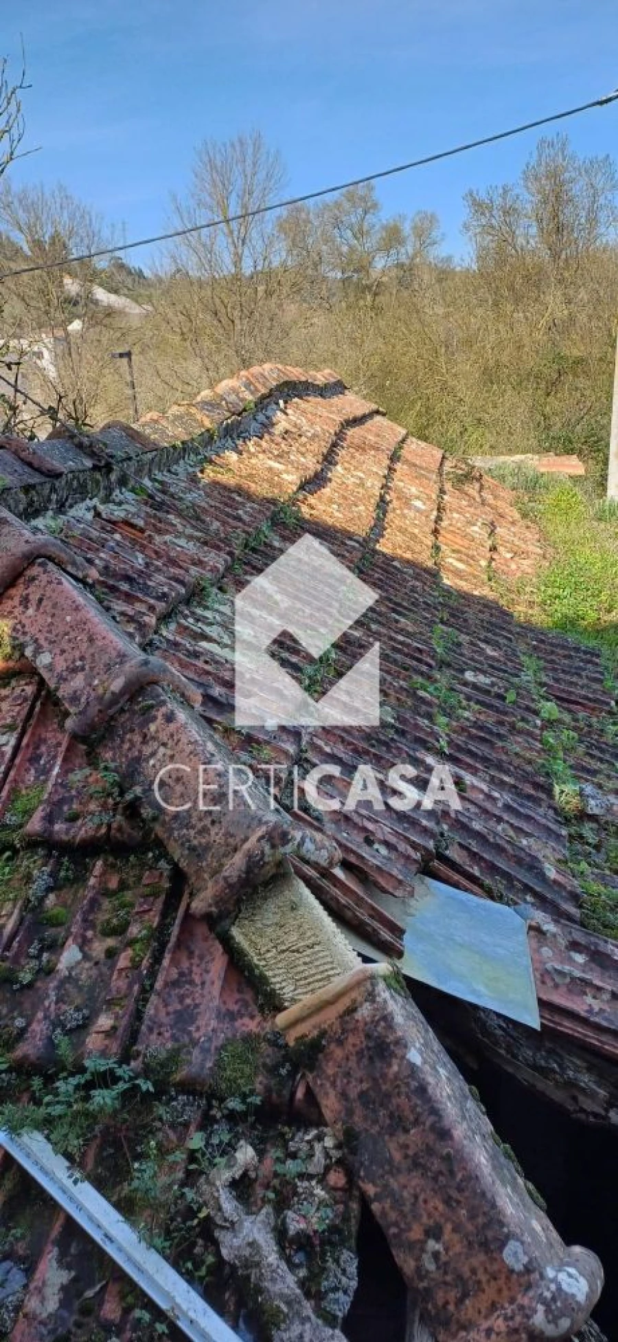 Moradia T3 para Venda em Marvila, Ribeira Santarém, São Salvador, São Nicolau Foto 34