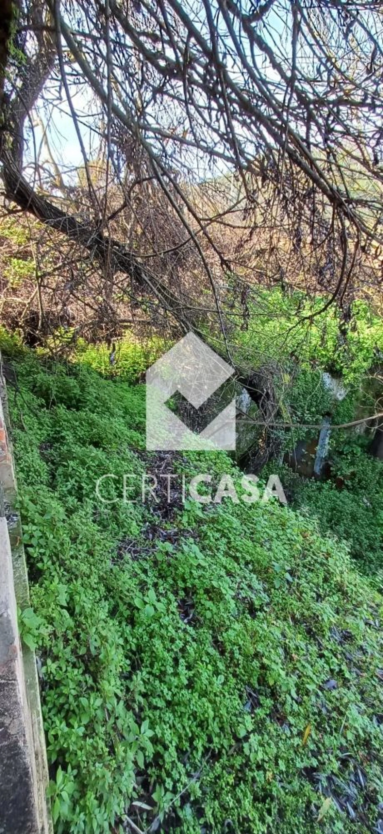 Moradia T3 para Venda em Marvila, Ribeira Santarém, São Salvador, São Nicolau Foto 32