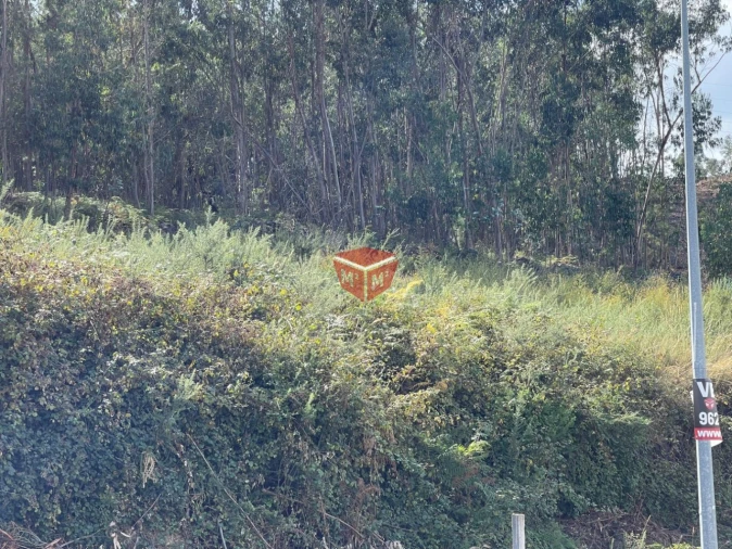 Terreno para Venda em Vilela Foto 7