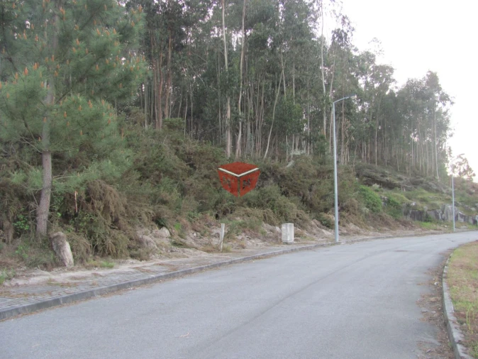 Terreno para Venda em Vilela Foto 14