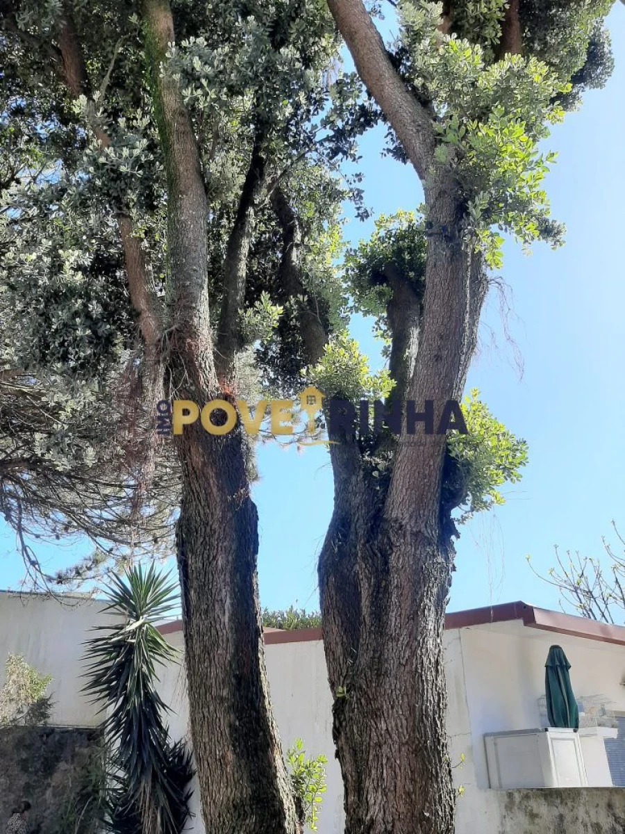 Loja para Venda em Póvoa de Varzim, Beiriz e Argivai Foto 9