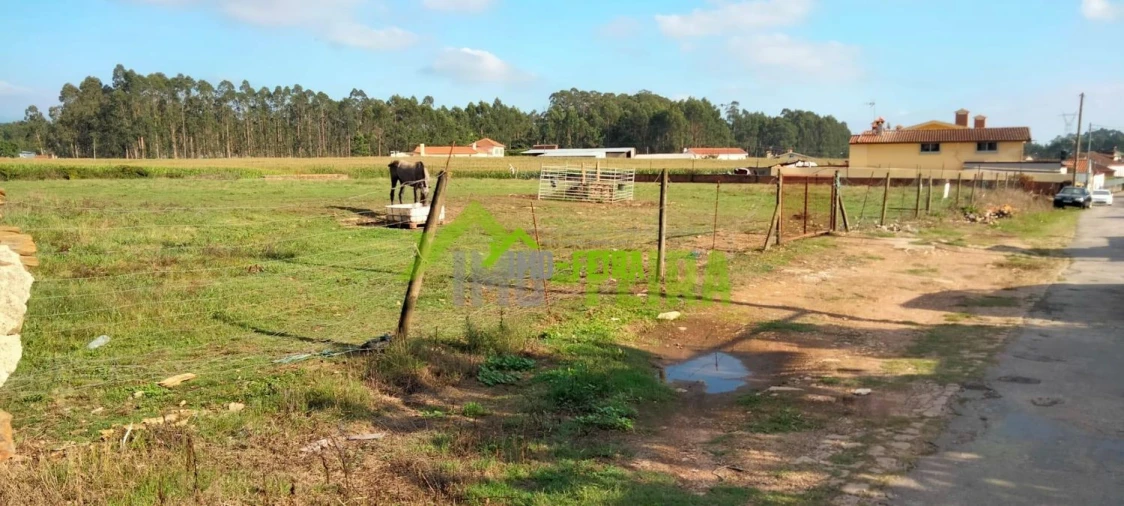 Terreno para Venda em Loureiro Foto 3