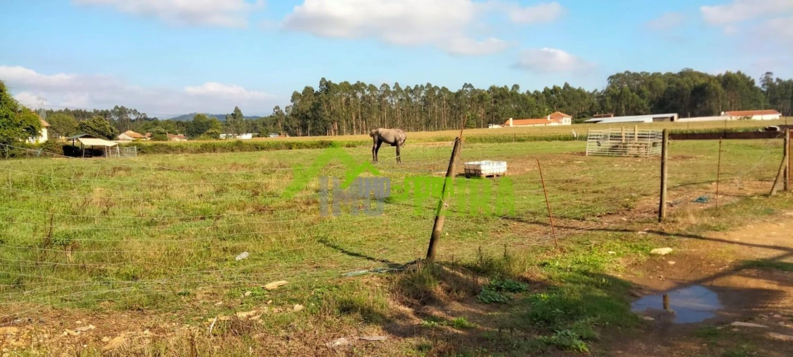 Terreno para Venda em Loureiro Foto 7