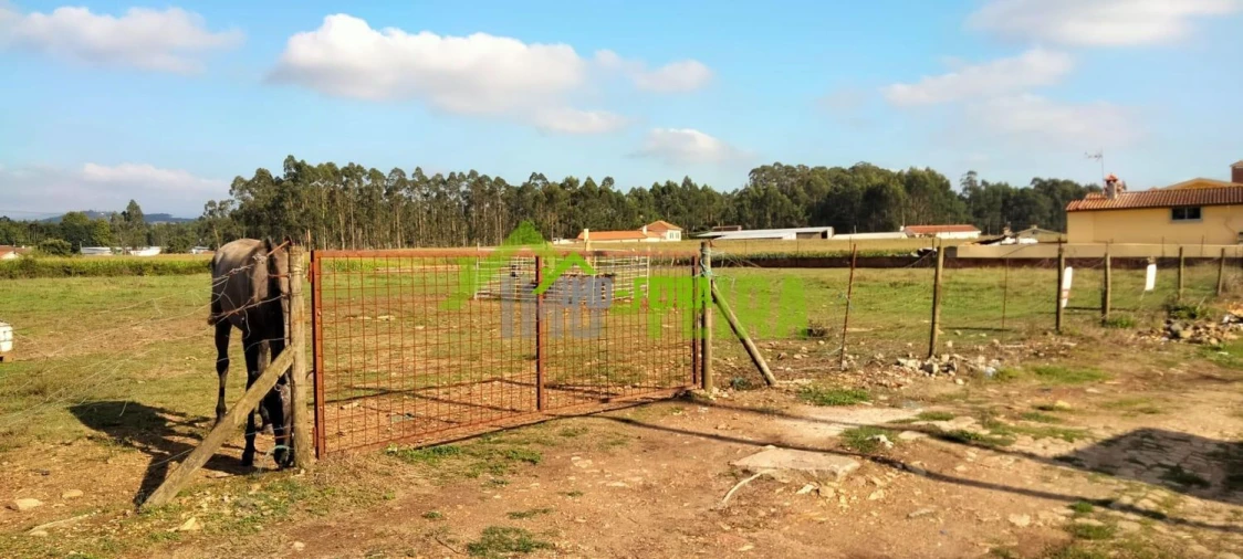 Terreno para Venda em Loureiro Foto 2