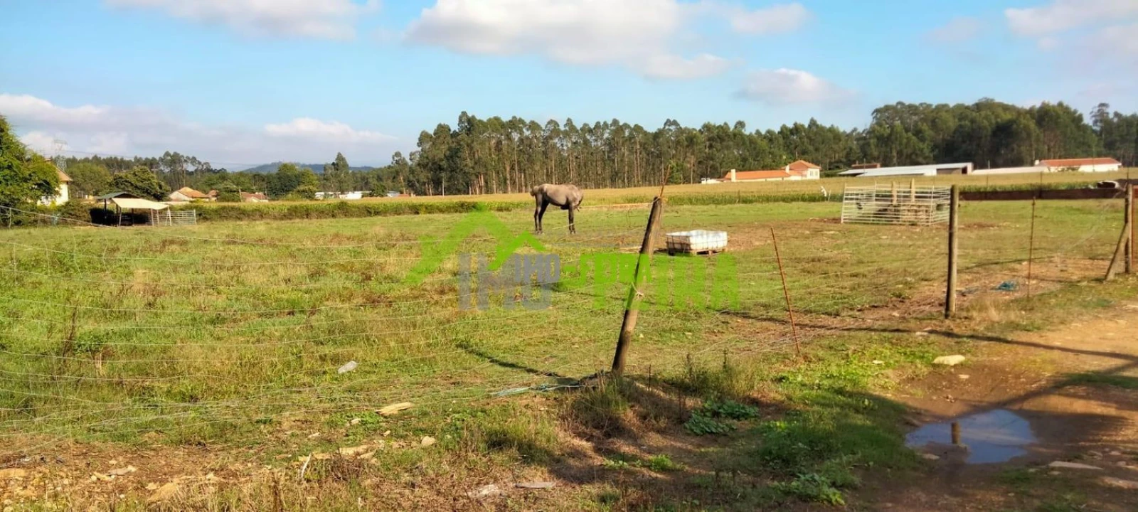 Terreno para Venda em Loureiro Foto 7