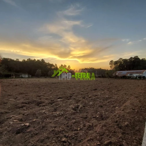 Terreno para Venda em São Miguel do Souto e Mosteirô Foto 1