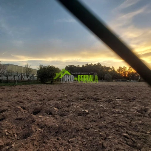 Terreno para Venda em São Miguel do Souto e Mosteirô Foto 4