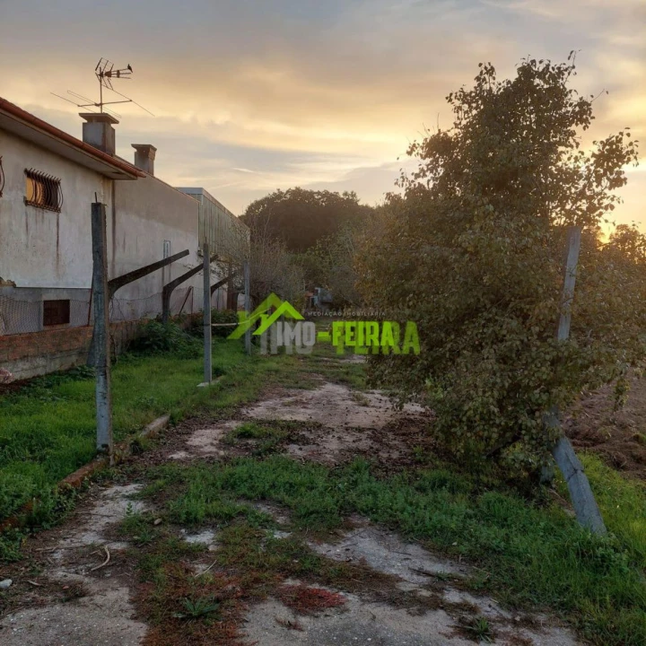 Terreno para Venda em São Miguel do Souto e Mosteirô Foto 10