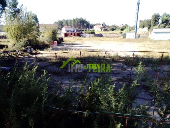Terreno para Venda em Caldas de São Jorge e Pigeiros Foto 2