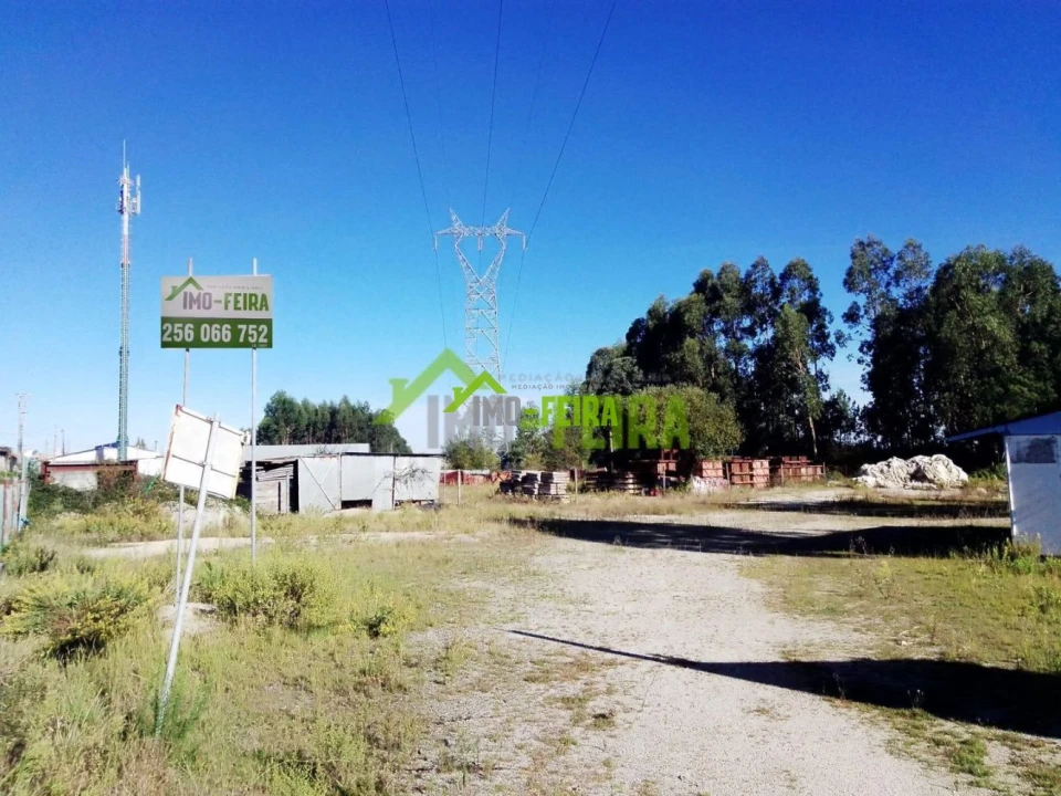 Terreno para Venda em Caldas de São Jorge e Pigeiros Foto 4
