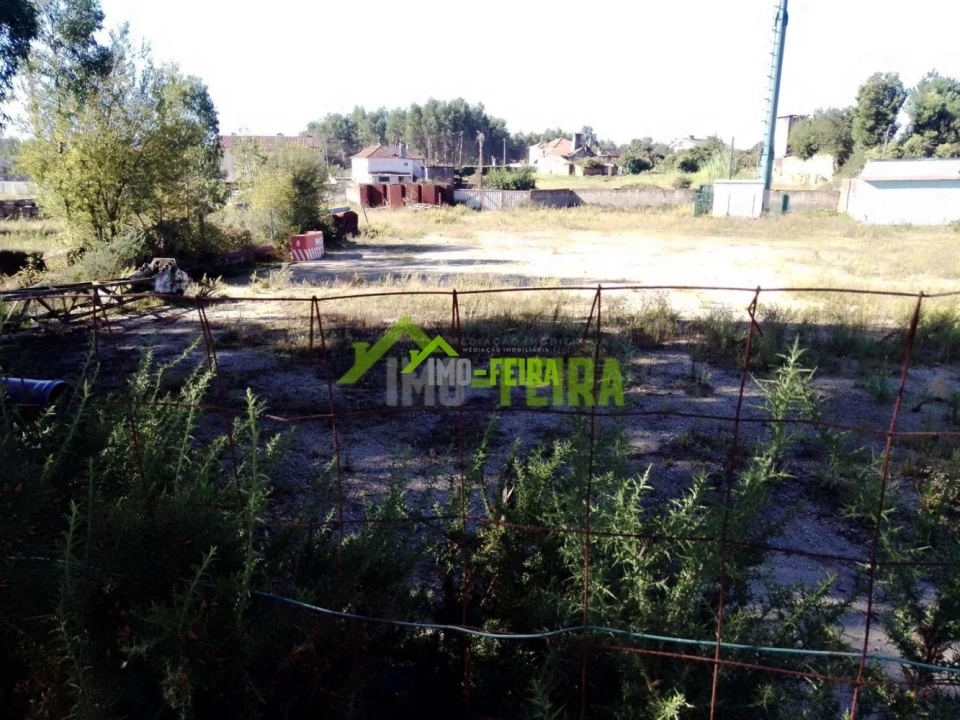 Terreno para Venda em Caldas de São Jorge e Pigeiros Foto 2