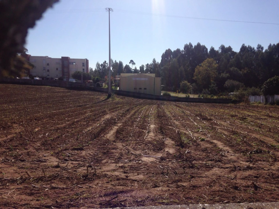 Terreno para Venda em São Miguel do Souto e Mosteirô Foto 3