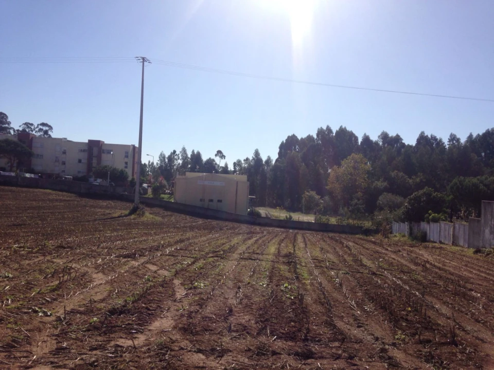 Terreno para Venda em São Miguel do Souto e Mosteirô Foto 7