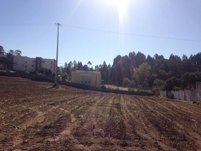 Terreno para Venda em São Miguel do Souto e Mosteirô Foto 7
