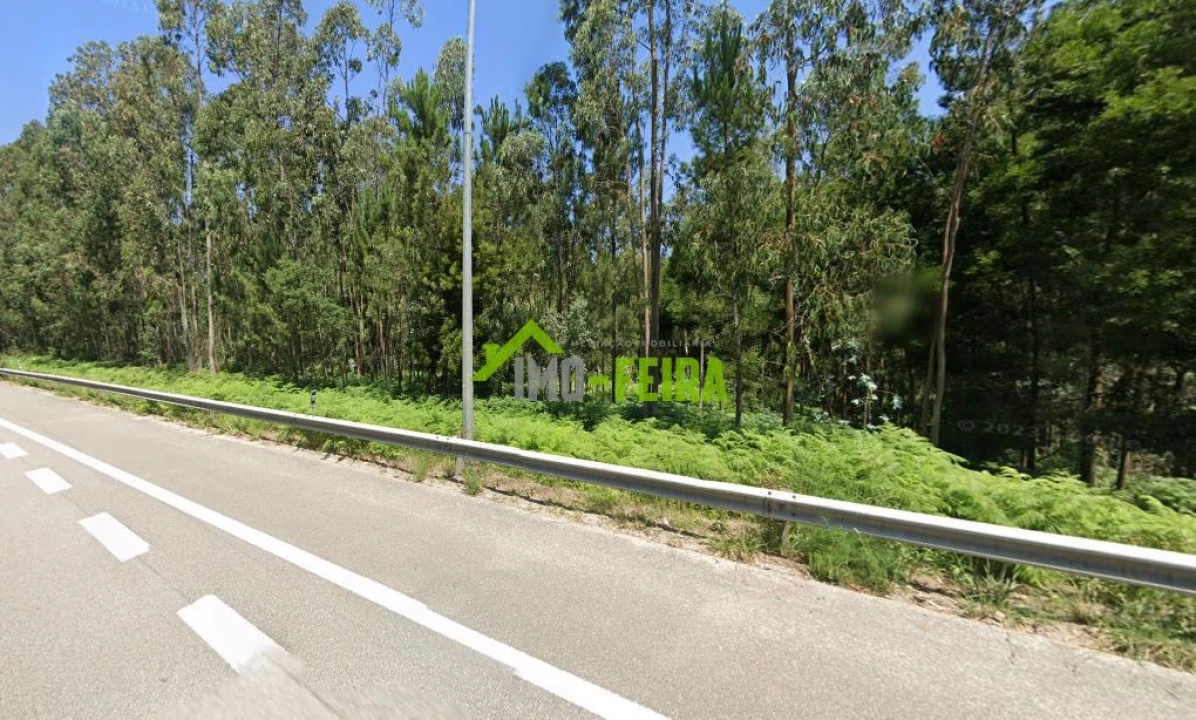 Terreno para Venda em São João de Ver Foto 1