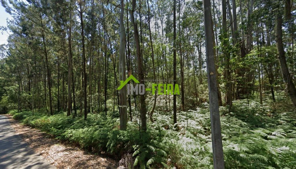 Terreno para Venda em São João de Ver Foto 7