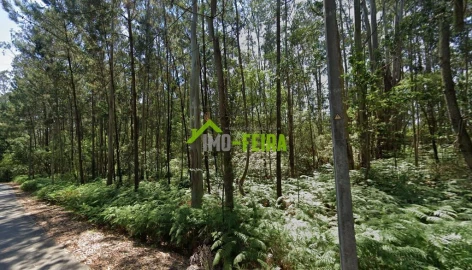 Terreno para Venda em São João de Ver