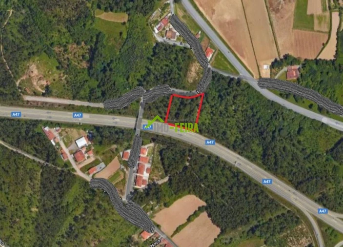 Terreno para Venda em São João de Ver Foto 5