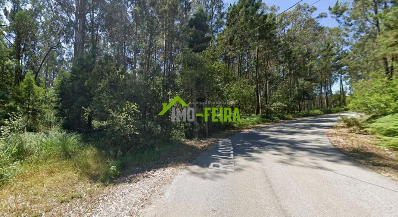 Terreno para Venda em São João de Ver Foto 4