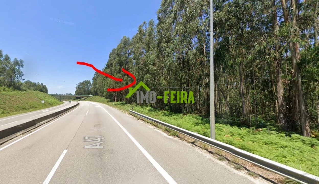 Terreno para Venda em São João de Ver Foto 2