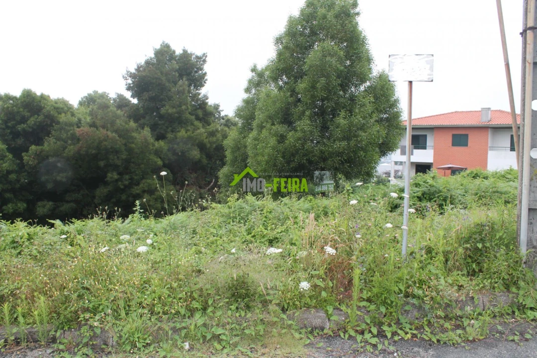 Terreno para Venda em Arrifana Foto 11