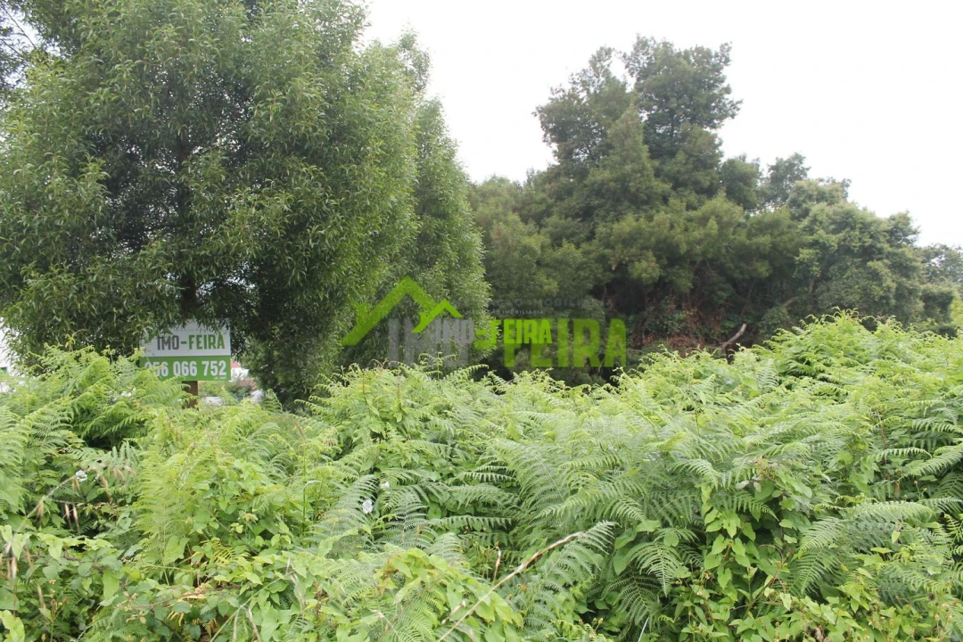 Terreno para Venda em Arrifana Foto 5