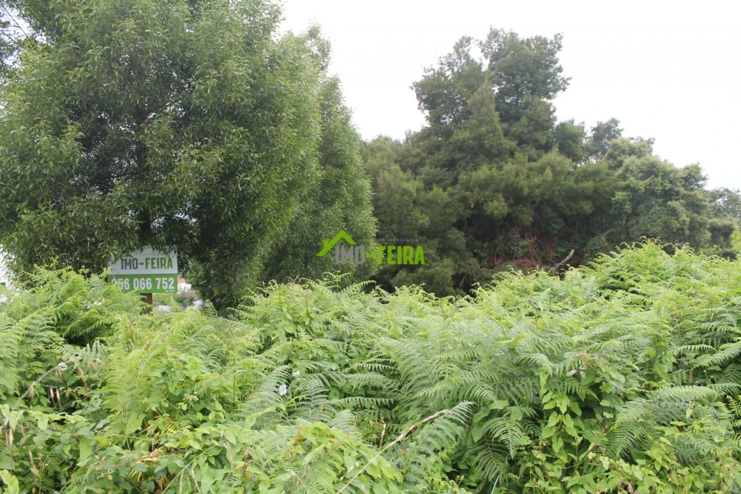 Terreno para Venda em Arrifana Foto 12