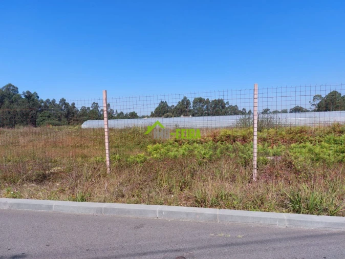 Terreno para Venda em São Miguel do Souto e Mosteirô Foto 3