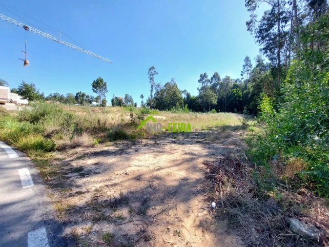 Terreno para Venda em São Miguel do Souto e Mosteirô Foto 5