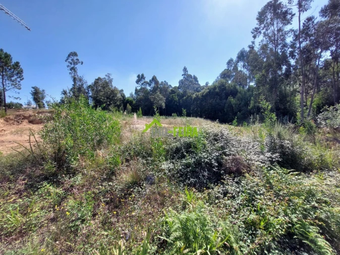 Terreno para Venda em São Miguel do Souto e Mosteirô Foto 2