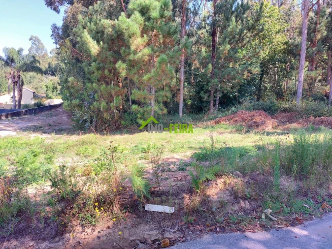 Terreno para Venda em São Miguel do Souto e Mosteirô Foto 4
