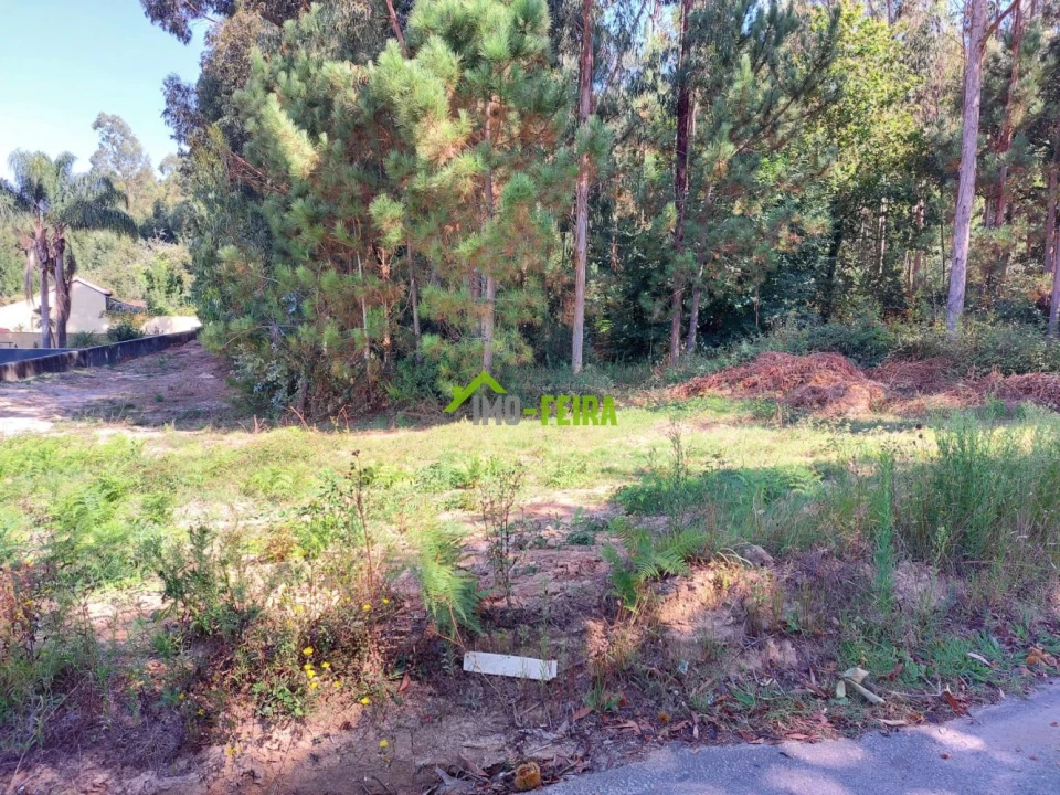 Terreno para Venda em São Miguel do Souto e Mosteirô Foto 4