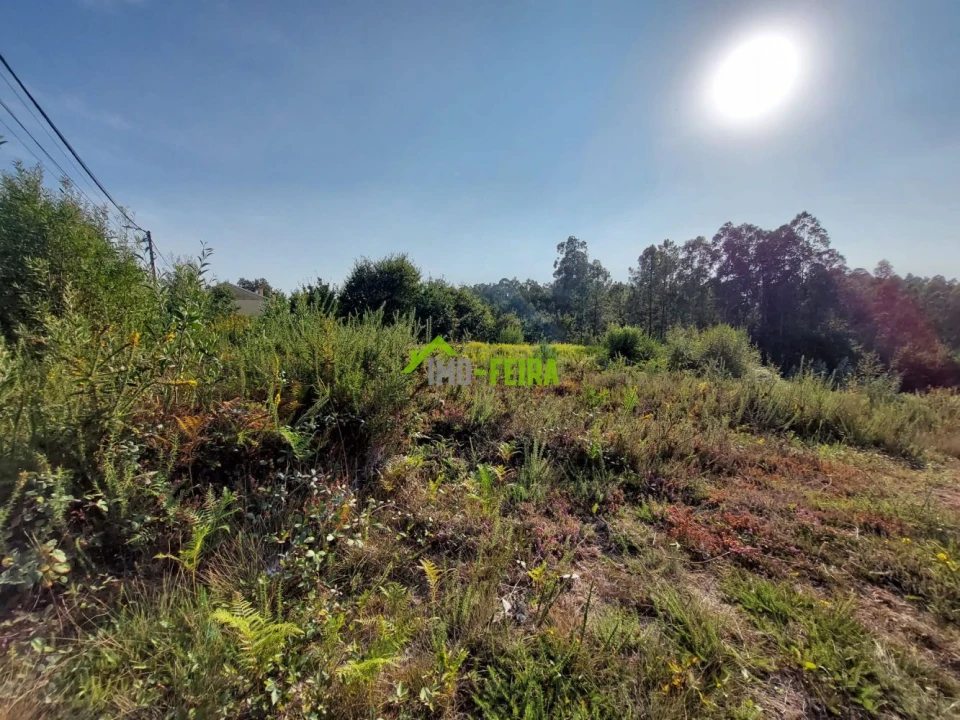 Terreno para Venda em Milheiros de Poiares Foto 4