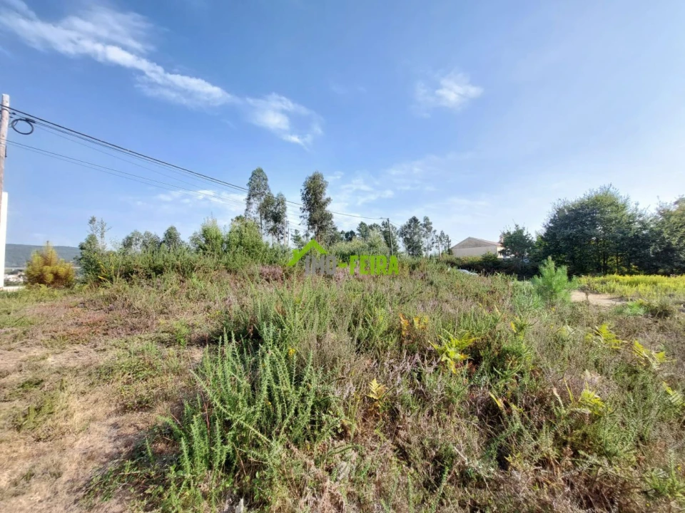 Terreno para Venda em Milheiros de Poiares Foto 8