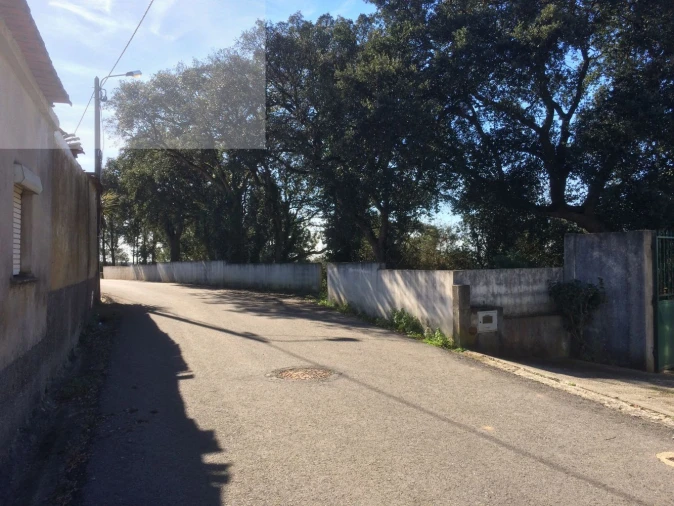 Terreno para Venda em Recardães e Espinhel Foto 2