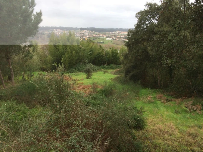 Terreno para Venda em Recardães e Espinhel Foto 3