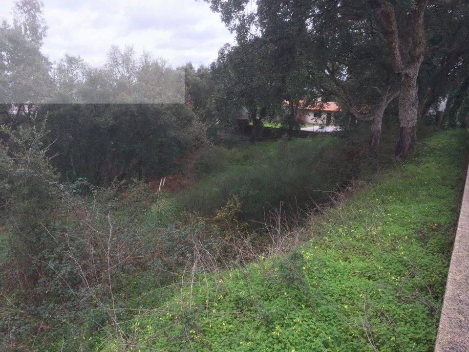 Terreno para Venda em Recardães e Espinhel Foto 4