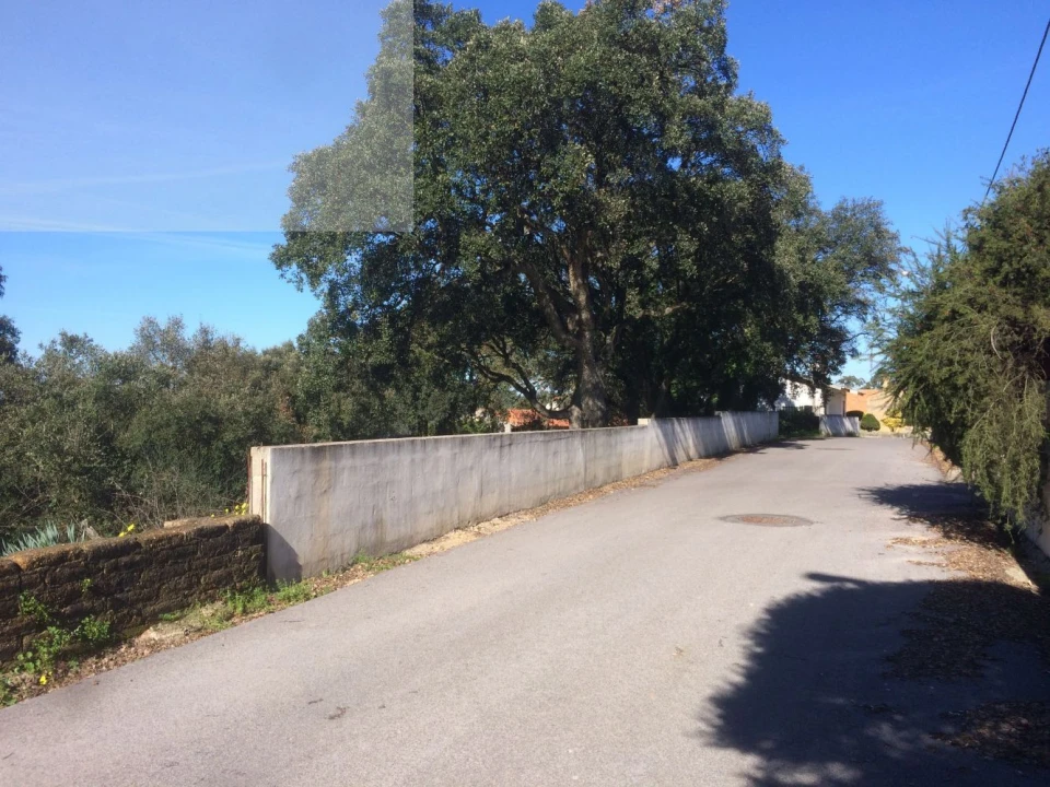 Terreno para Venda em Recardães e Espinhel Foto 1