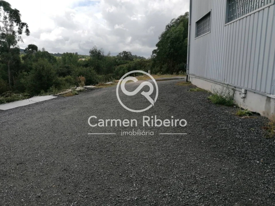 Loja para Venda em São Gens Foto 14