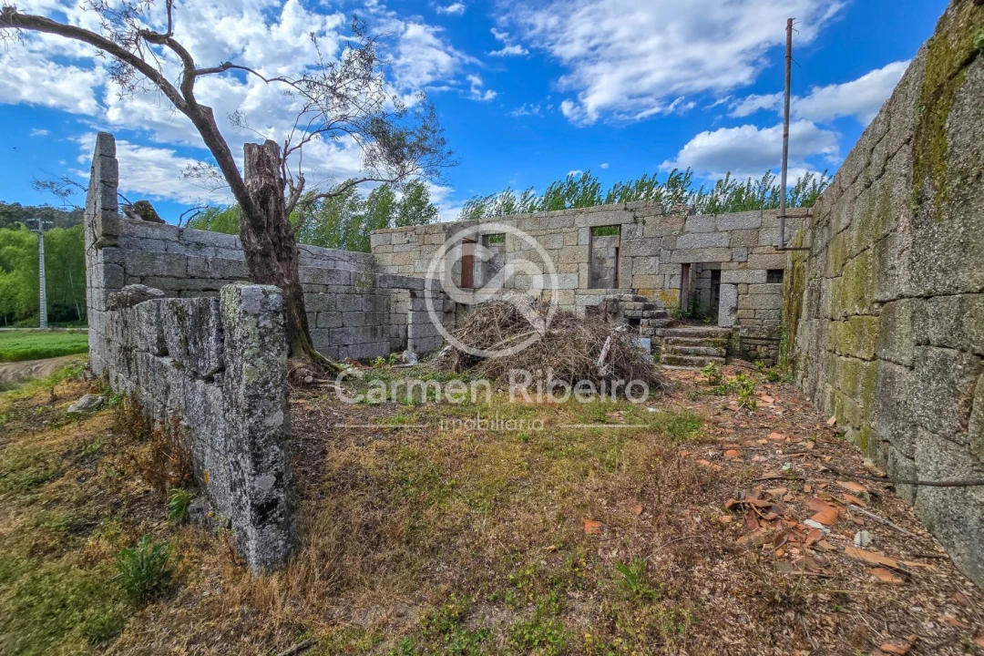 Quinta T0 para Venda em Antime e Silvares (São Clemente) Foto 23