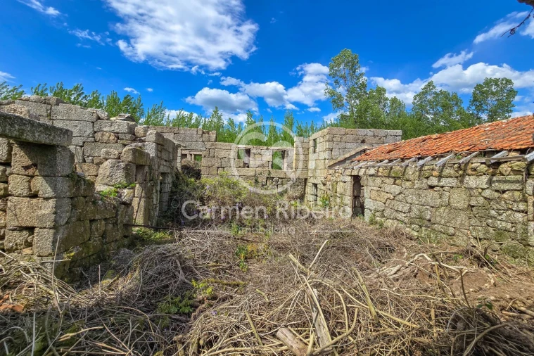 Quinta T0 para Venda em Antime e Silvares (São Clemente) Foto 22