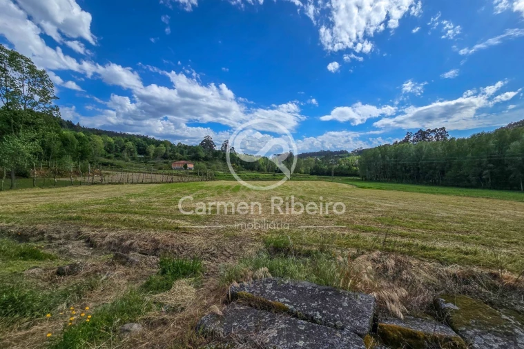 Quinta T0 para Venda em Antime e Silvares (São Clemente) Foto 24