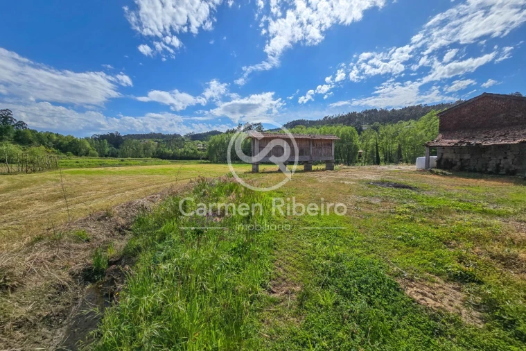 Quinta T0 para Venda em Antime e Silvares (São Clemente) Foto 20