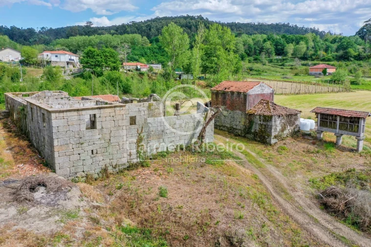 Quinta T0 para Venda em Antime e Silvares (São Clemente) Foto 14